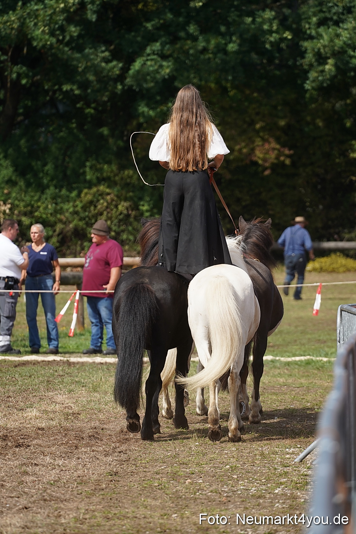 Pferde und Fohlenschau 2022 0273 